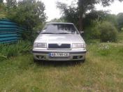 Изображение Skoda Felicia