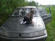 Зображення Peugeot 605