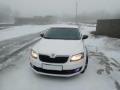 Зображення Skoda Fabia