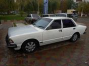 Изображение Nissan Bluebird