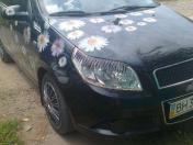 Изображение Chevrolet Aveo