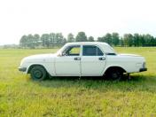Изображение GAZ 31029